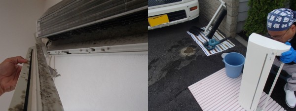 外したパーツは確認しながら洗えます