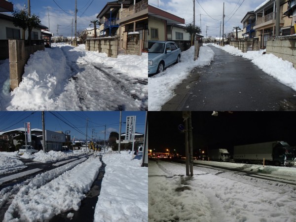 道路の除雪，ボランティア