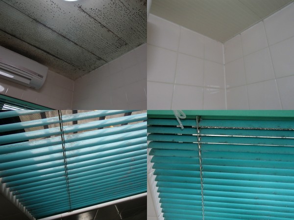 浴室の天井のカビを漂白除菌
