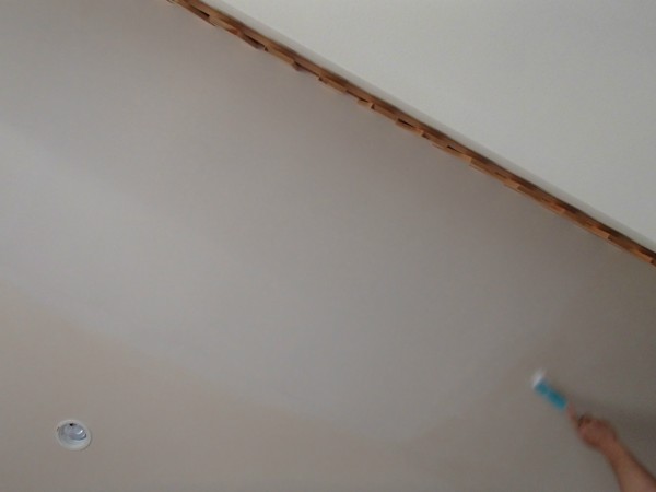 天井の壁紙も洗う