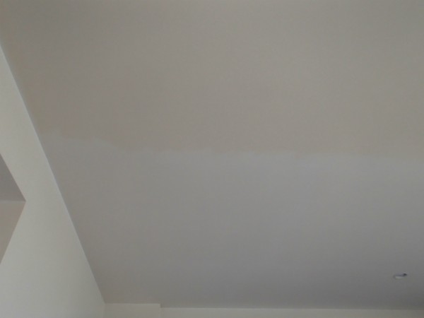 天井の壁紙を洗う