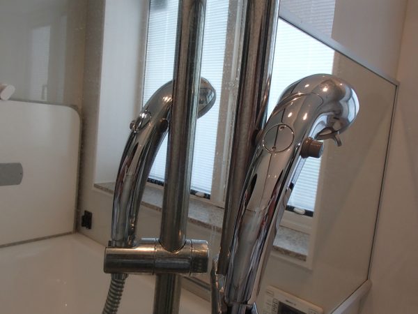 鏡とシャワーポール