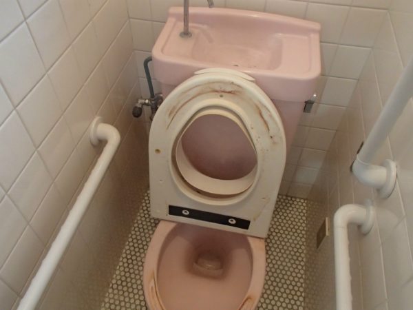 トイレのシャワー便座と陶器