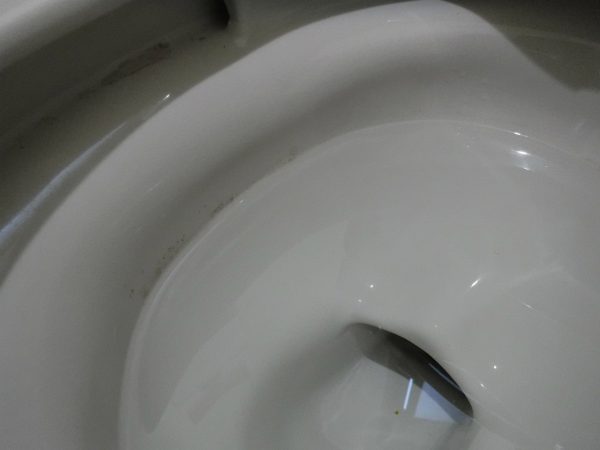 トイレ陶器鉢内