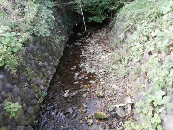 水遊びできそうな川