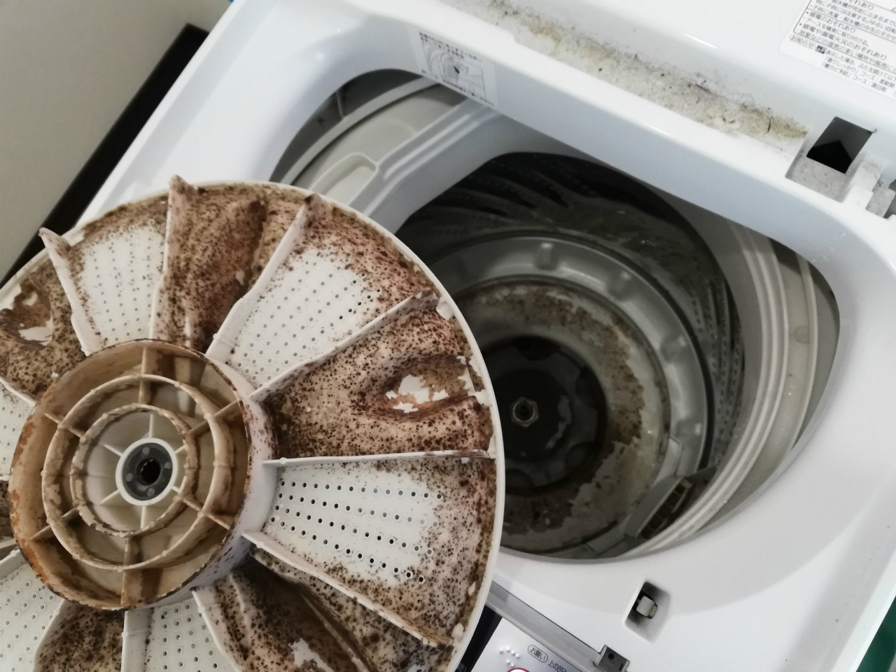 パナソニック5キロ洗い洗濯機 | ハウスクリーニング日記