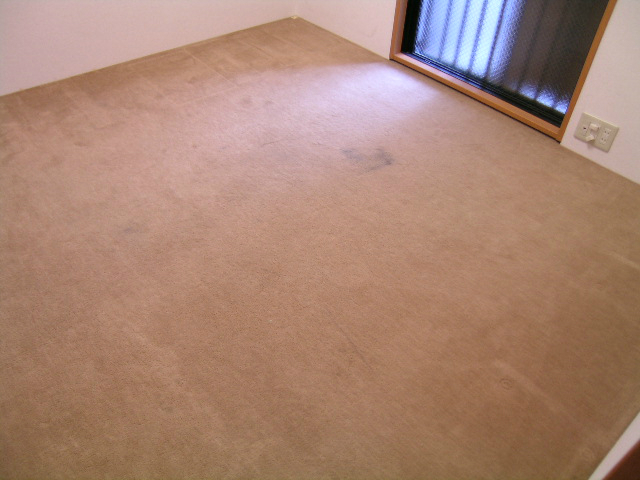 マンションの洋室，敷き込みのカーペットをクリーニング